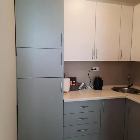 Petrovic-5 Min By Walk To Center,doboj Park Doboj