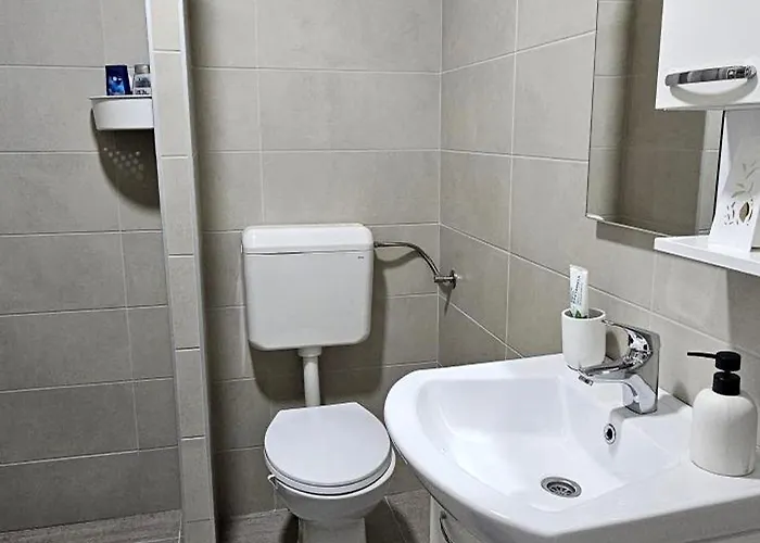 Petrovic-5 Min By Walk To Center,doboj Park Apartman